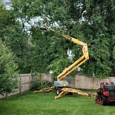 Best Leaf Removal  in Jemison, AL